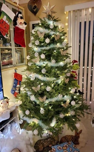 Avaliação de Solange