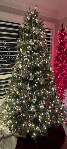 Avaliação de Patricia