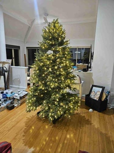 Avaliação de Vanessa