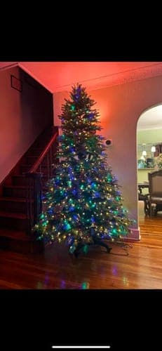 Avaliação de Carolina