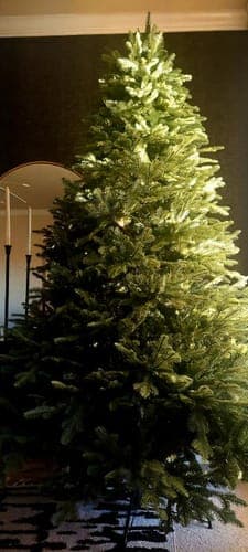 Avaliação de Bruno